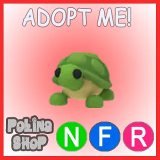 Turtle NFR