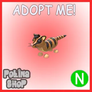 Banded Palm Civet N x4