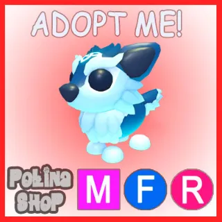 Shiver Wolf MFR