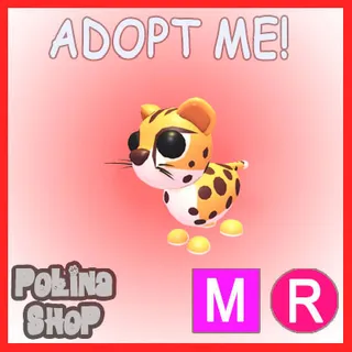 Cheetah MR