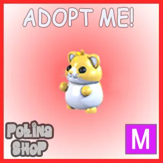 Golden Hamster M