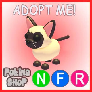 Siamese Cat NFR