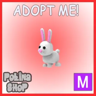 Bunny M