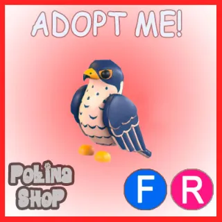 Peregrine Falcon FR