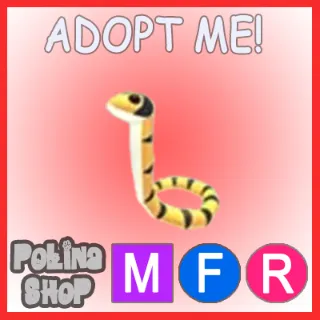 Yellow-lipped Sea Krait MFR