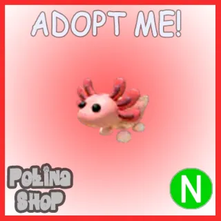 Axolotl N