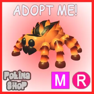 Tarantula MR