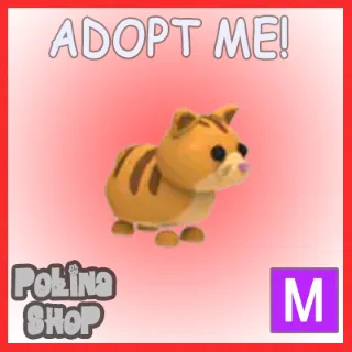 Ginger Cat M