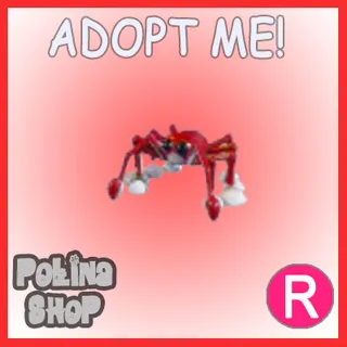 Spider Crab R