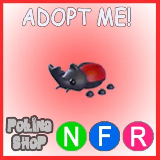 Rhino Beetle NFR