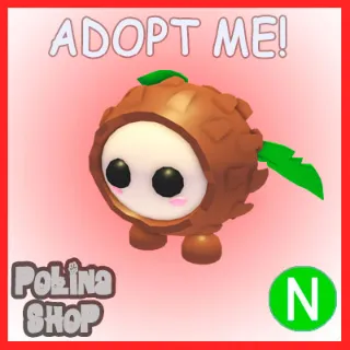 Coconut Friend N