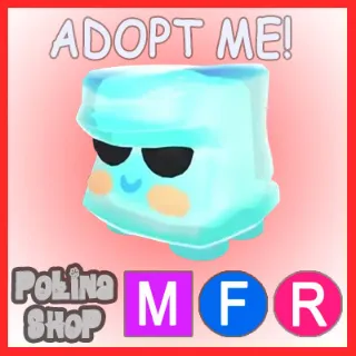 Cold Cube MFR