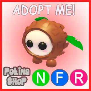 Coconut Friend NFR