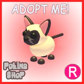 Siamese Cat R