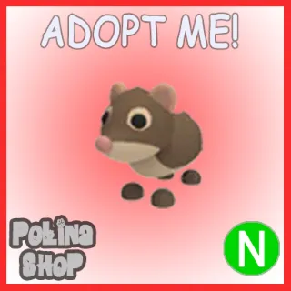 Shrew N