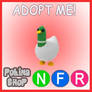 Silly Duck NFR