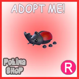 Rhino Beetle R x4