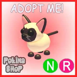 Siamese Cat NR