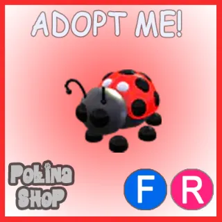 Ladybug FR