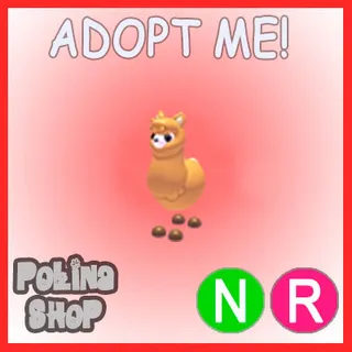 Alpaca NR