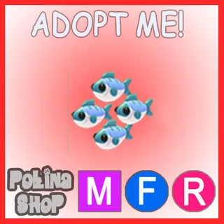 Many Mackerel MFR