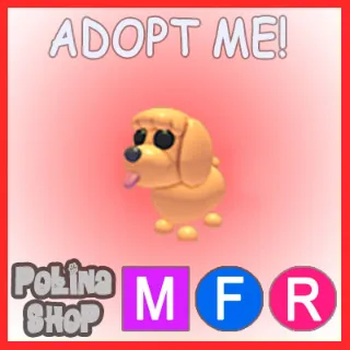 Toy Poodle MFR