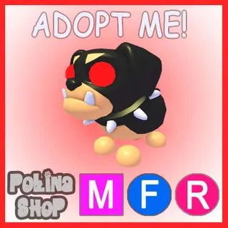 The Black Dog MFR