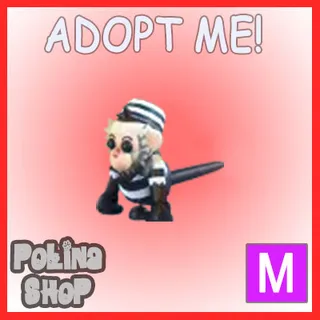 Inmate Capuchin Monkey M