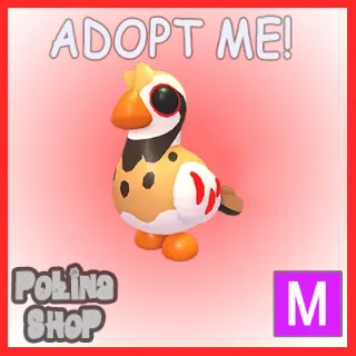 Partridge M