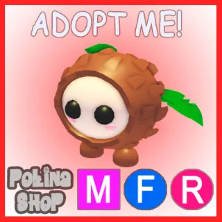 Coconut Friend MFR