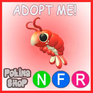 Emperor Shrimp NFR