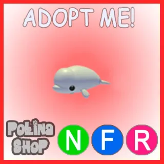 Beluga Whale NFR