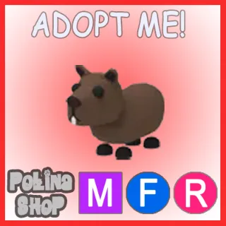 Capybara MFR