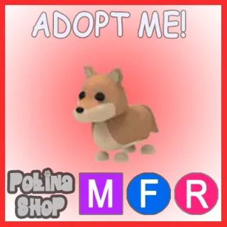 Dingo MFR