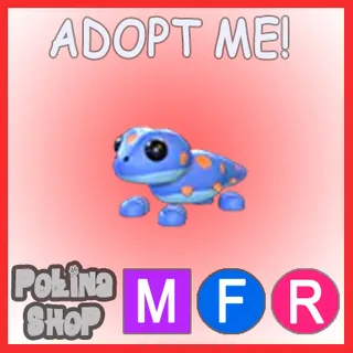 Gecko MFR