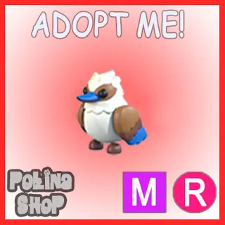 Kookaburra MR