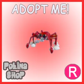 Spider Crab R