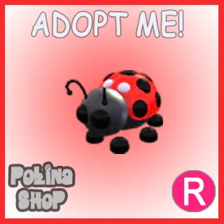 Ladybug R x4