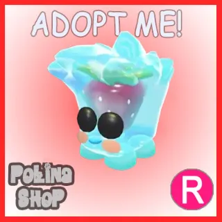 Berry Cool Cube R