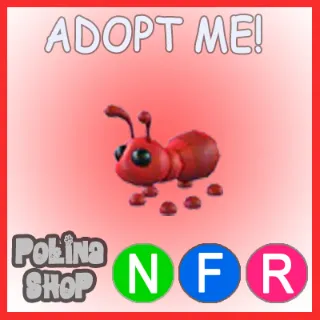 Ant NFR