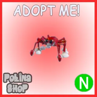 Spider Crab N