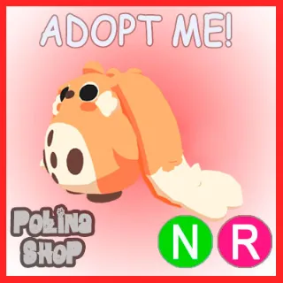 Cabbit NR