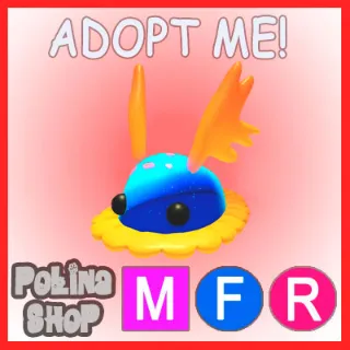 Seabed Creeper MFR