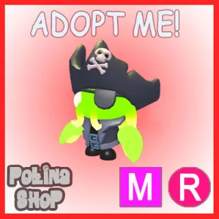 Kelp Captain MR