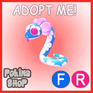 Blossom Snake FR