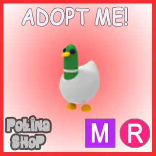 Silly Duck MR