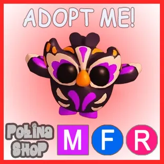 Grave Owl MFR