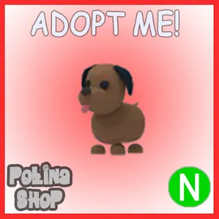 Chocolate Labrador N x4