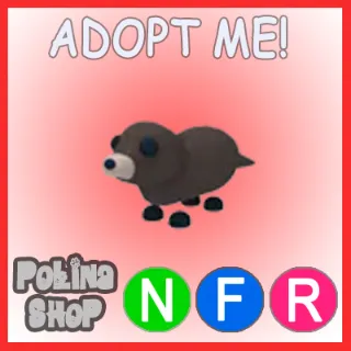 Otter NFR