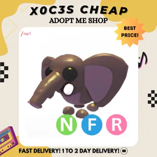 NFR BUSH ELEPHANT 